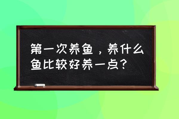 鱼怎么养长得又快又大 第一次养鱼，养什么鱼比较好养一点？