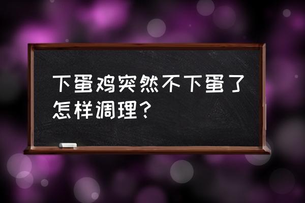 散养鸡怎么让其每天下蛋 下蛋鸡突然不下蛋了怎样调理？