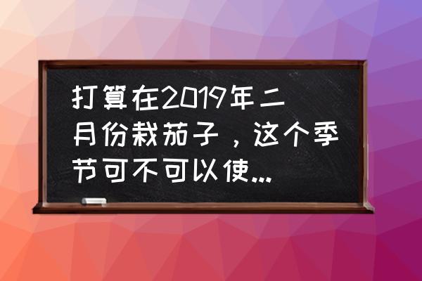 草莓授粉熊蜂放在哪个位置 打算在2019年二月份栽茄子，这个季节可不可以使用蜜蜂授粉？注意事项有哪些？