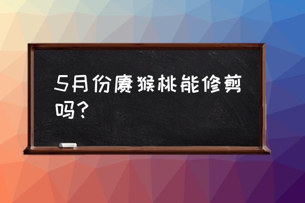 猕猴桃只施矿源黄腐酸钾有效果吗 5月份猕猴桃能修剪吗？