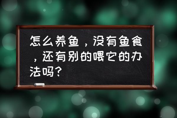 个人做鱼食的方法 怎么养鱼，没有鱼食，还有别的喂它的办法吗？