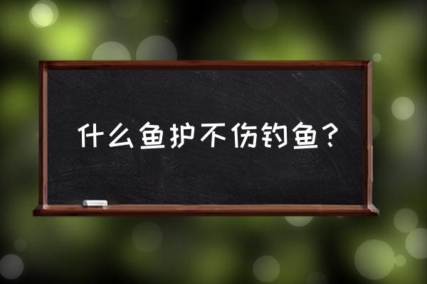 鱼护怎么买才好 什么鱼护不伤钓鱼？