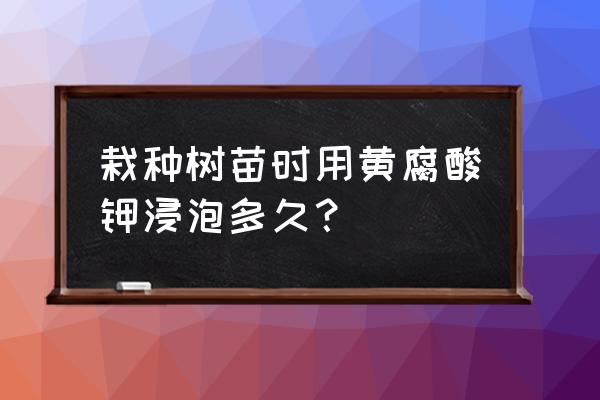 黄腐酸钾用量过大会怎样 栽种树苗时用黄腐酸钾浸泡多久？