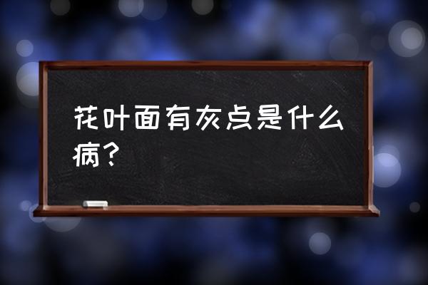 花草常见的病虫害有哪些 花叶面有灰点是什么病？