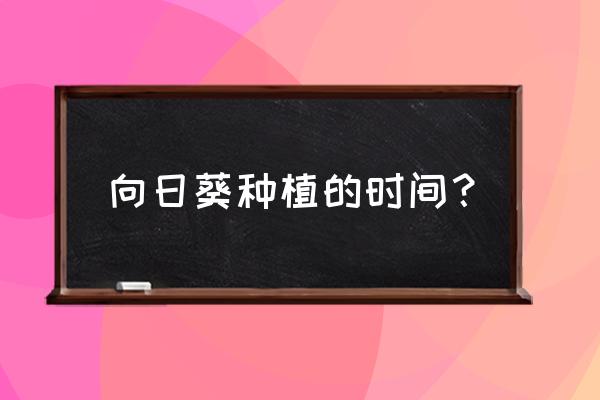 黏土做向日葵简单教程 向日葵种植的时间？