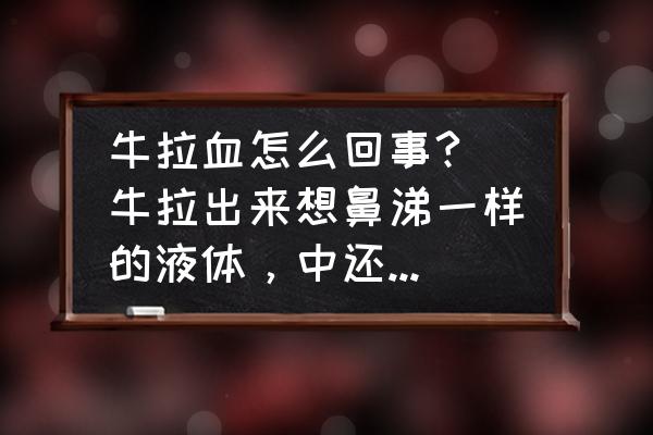 牛拉血怎么回事? 牛拉出来想鼻涕一样的液体，中还带着血怎么办？