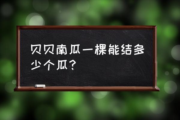 贝贝南瓜一亩种多少棵苗 贝贝南瓜一棵能结多少个瓜？