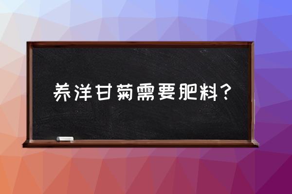 洋甘菊的养殖方法和禁忌 养洋甘菊需要肥料？