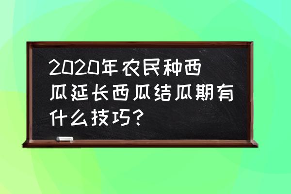 西瓜长藤不结瓜怎么补救 2020年农民种西瓜延长西瓜结瓜期有什么技巧？