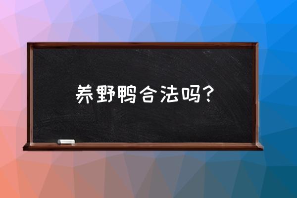 中国野鸭养殖基地在哪里有 养野鸭合法吗？