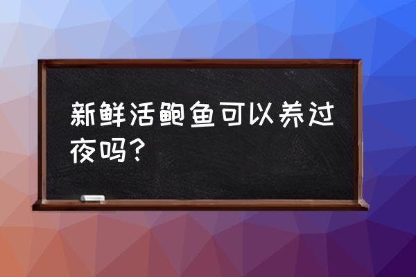 活鲍鱼怎么在家养 新鲜活鲍鱼可以养过夜吗？