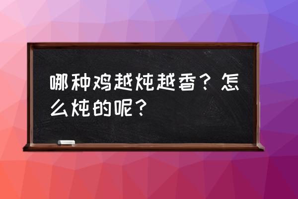 什么鸡最好吃还最好养 哪种鸡越炖越香？怎么炖的呢？