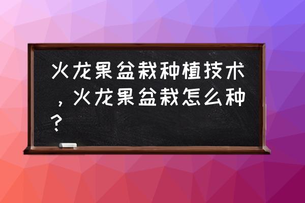 家庭盆栽火龙果方法教程 火龙果盆栽种植技术，火龙果盆栽怎么种？