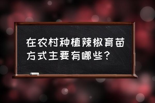 家庭辣椒育苗的方法与技术 在农村种植辣椒育苗方式主要有哪些？