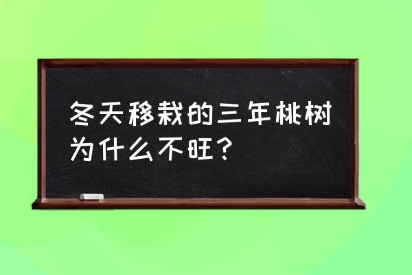 种植西瓜的土地为什么3年一轮换 冬天移栽的三年桃树为什么不旺？