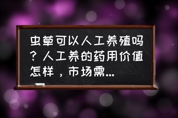 虫草的栽种方法 虫草可以人工养殖吗？人工养的药用价值怎样，市场需求怎样？