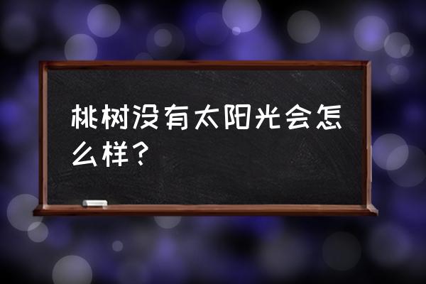 桃树生长环境条件 桃树没有太阳光会怎么样？