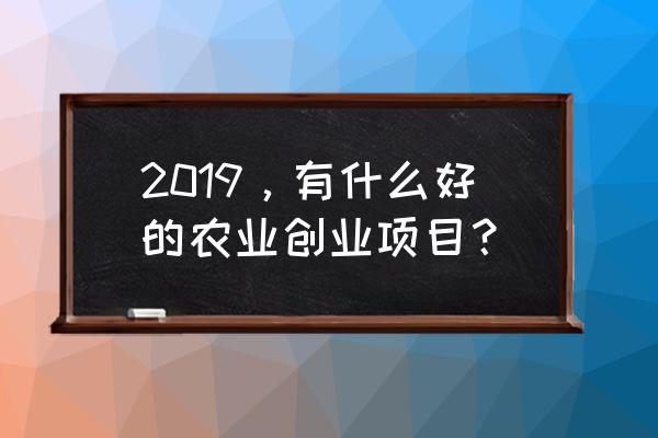 大棚工厂化高密度鲈鱼养殖 2019，有什么好的农业创业项目？