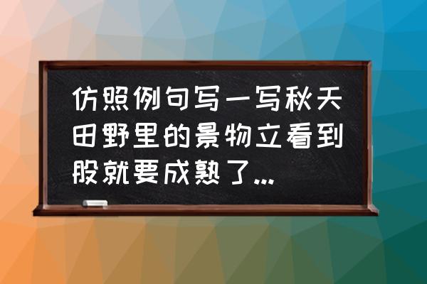 一什么银毯 仿照例句写一写秋天田野里的景物立看到股就要成熟了稻穗低垂着头稻田像一块月亮都亮的银毯？