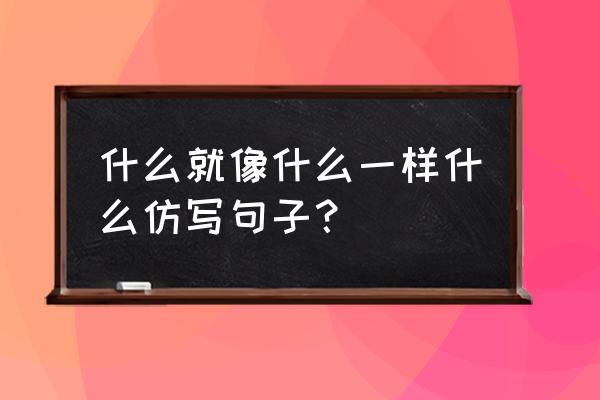 它们是那样柔弱仿写一个句子 什么就像什么一样什么仿写句子？