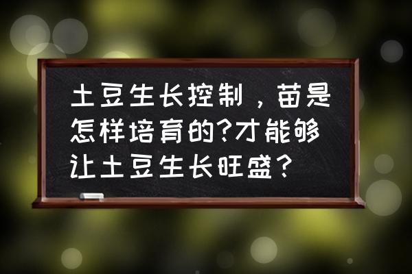 土豆怎么种长得又大又好 土豆生长控制，苗是怎样培育的?才能够让土豆生长旺盛？