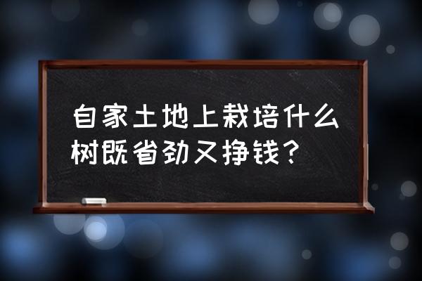 今年农村种植什么才赚钱 自家土地上栽培什么树既省劲又挣钱？