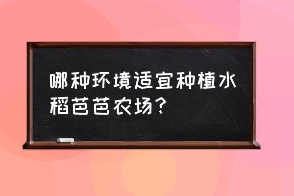 什么农场游戏可以编辑地块 哪种环境适宜种植水稻芭芭农场？