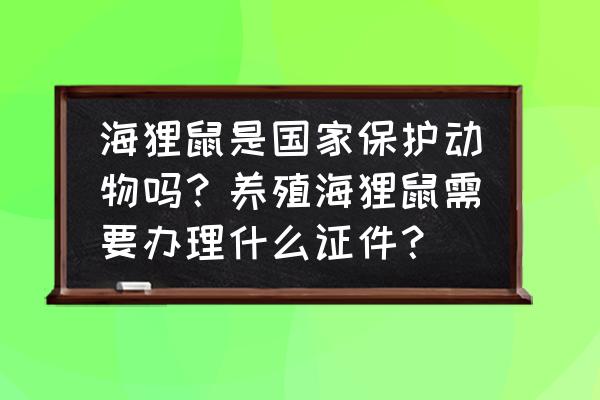 海狸鼠最大多少斤 海狸鼠是国家保护动物吗？养殖海狸鼠需要办理什么证件？