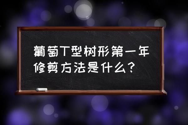 第一年的葡萄苗怎样修剪 葡萄T型树形第一年修剪方法是什么？