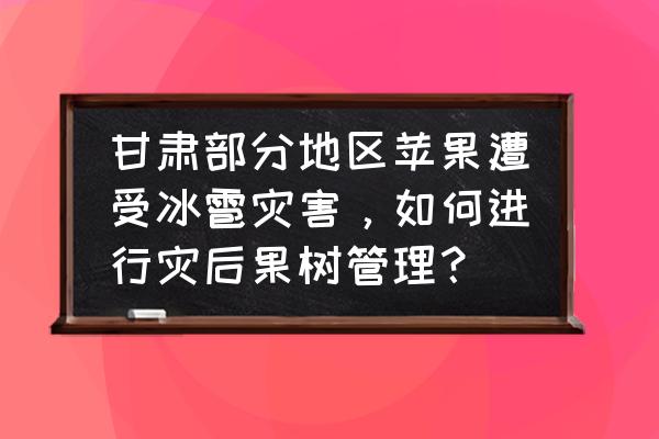 冰雹天气安全措施有哪些 甘肃部分地区苹果遭受冰雹灾害，如何进行灾后果树管理？