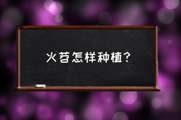 红薯苗严重死苗怎样补救 火苕怎样种植？