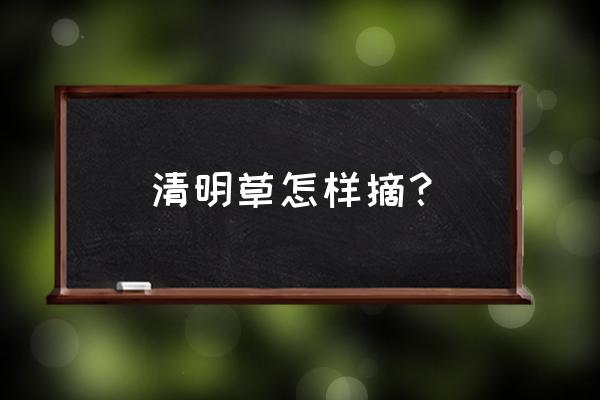 清明草种植方法 清明草怎样摘？