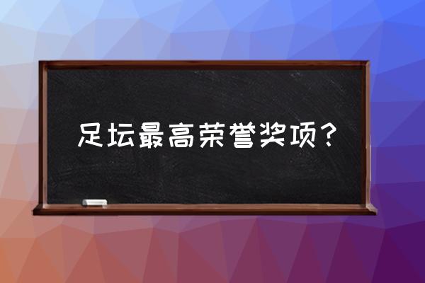 中国手球协会会员名单 足坛最高荣誉奖项？