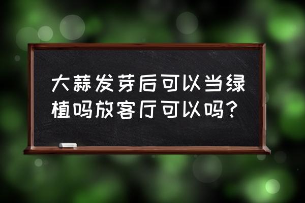 盆栽蒜苗几月栽培 大蒜发芽后可以当绿植吗放客厅可以吗？