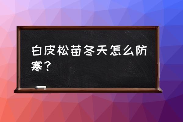 冬季自行车骑行如何保暖 白皮松苗冬天怎么防寒？