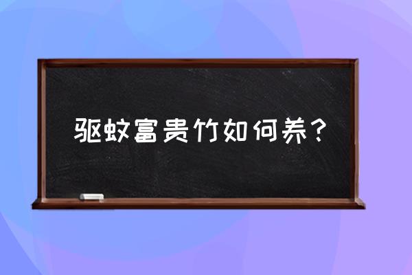 驱蚊草怎么养才能不让它死 驱蚊富贵竹如何养？