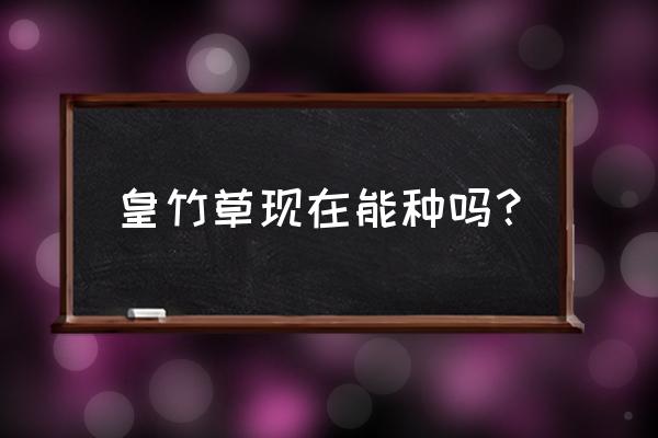 满天星发芽后怎么防止倒伏 皇竹草现在能种吗？