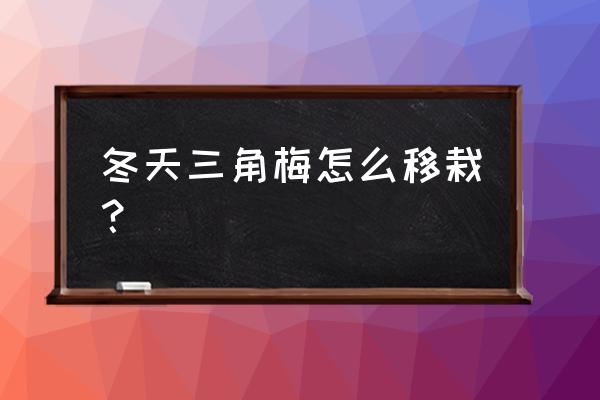 刚进冬天可以移栽果树吗 冬天三角梅怎么移栽？